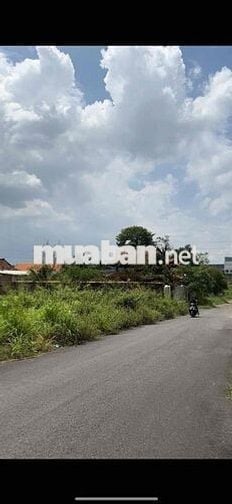 🔥 ĐẤT NỀN AN PHƯỚC – VỊ TRÍ VÀNG NGAY SÁT KCN 🔥 📍 Vị trí: Ngay trung t