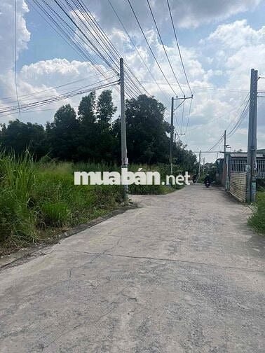 An Phước Long Thành – Săn ngay kẻo tiếc cả thanh xuân sổ Hồng riêng