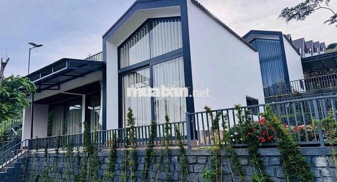 Đầu tư thua lỗ bán gấp nhà vườn P2 Bảo Lộc dtich 219m2