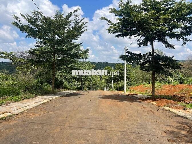 bán ĐẤT KQH PHẠM HỒNG THÁI: 2 mặt tiền. 🌱 Cách Bờ Hồ Xuân Hương 600m.
