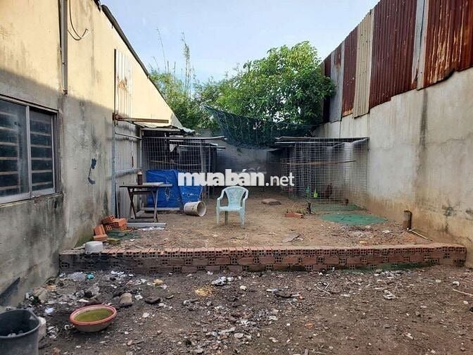 🆘ĐẤT 5 x 33,4m MẶT TIỀN ĐƯỜNG XUÂN THỚI THƯỢNG 4, XÃ BÀ ĐIỂM HÓC MÔN