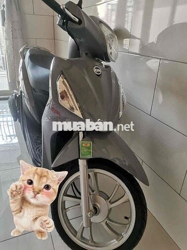 Xe mới 50cc cho học sinh