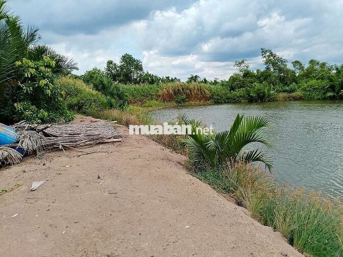 🔥 Đất lớn Cần Giờ 1.5ha (15.000m²), giá chỉ 800tr/1000m².