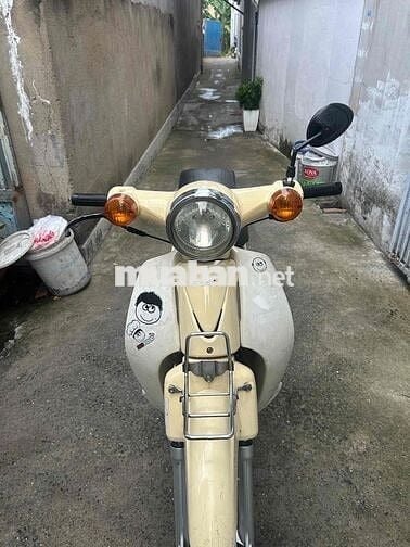 cub 50 cc bstp