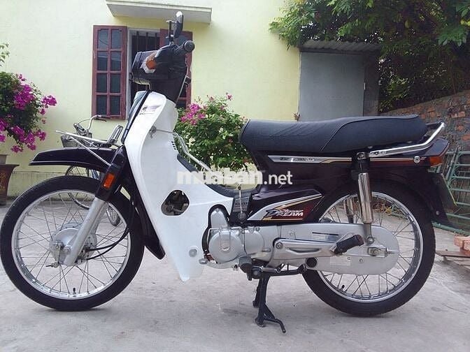 Bán.cho người đam mê.drem Việt Nam