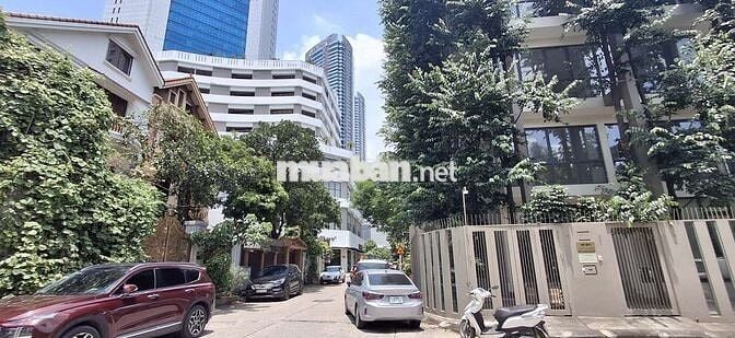 Cho thuê nhà liền kề Trung Hòa Nhân Chính, dt 100m2 x 7 tầng sàn thông