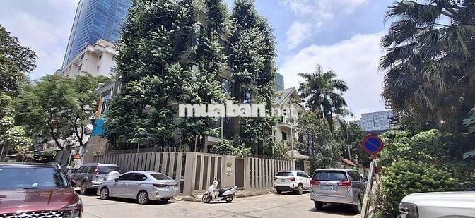 Cho thuê nhà riêng phường Yên Hòa, đường Trung kính dt 100m2 x 5 tầng