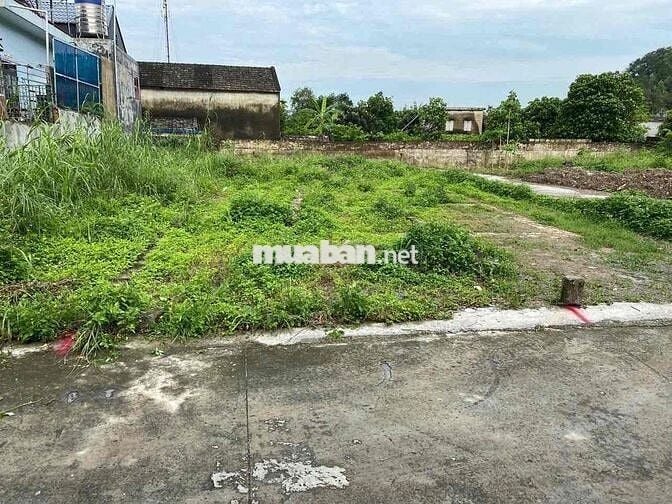 Cần Bán Đất Cạnh Trường Tiểu Học Lại Xuân