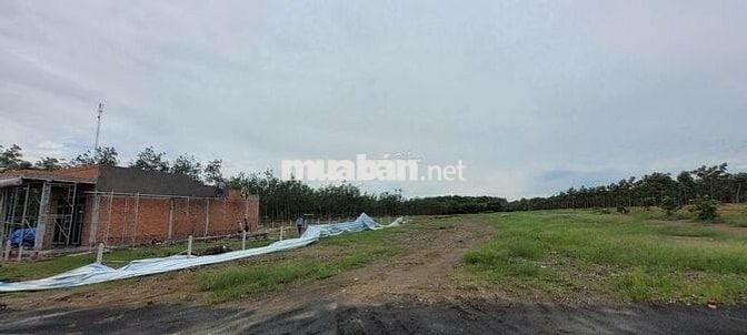Kẹt vốn Kinh doanh chủ gửi bán nền Thổ cư Tân Phước cấp sát Đồng Xoài.