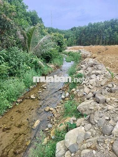 bán nhà vườn khủng  bám suối 16.000m cób400m đất ở phù hợp nghĩ dưỡng