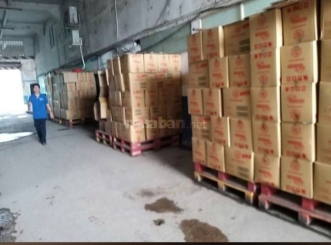 Việc Làm Ngay – Lao Động Phổ Thông Thu Nhập 8–10Triệu