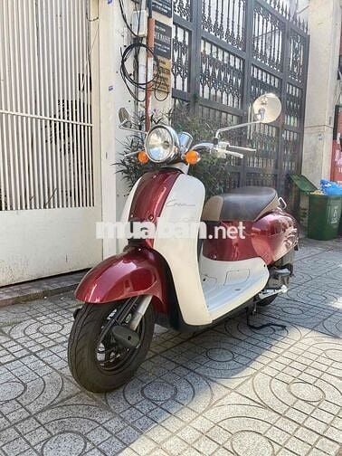 xe zin chua rot đầu