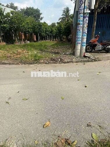 🔥BÁN ĐẤT PHÚ HOÀ – PHÚ LỢI, TPHCM | 5x30m, GIÁ 2TỶ950, ĐƯỜNG NHỰA 4M