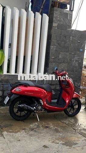 Scopy 2025 odo2k kiểng