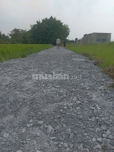 Bán 120m2 Thổ Cư , Xã Hoà Khánh Đông, Giá 650 triệu, Đức Hoà , Long An