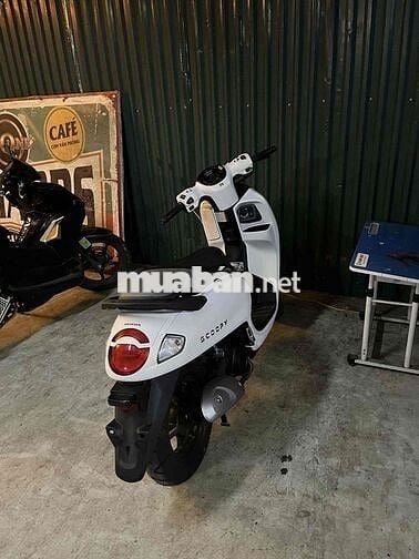 Scoopy