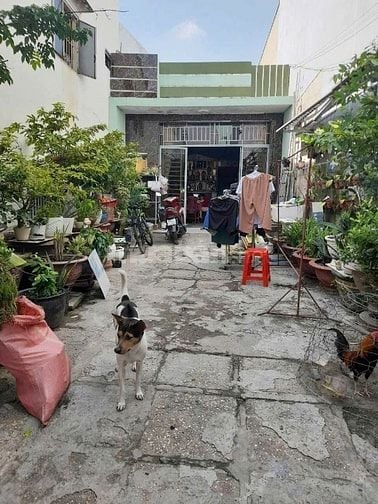 ✅Nhà hẻm 6m Lý Đạo Thành, p16 ,q8