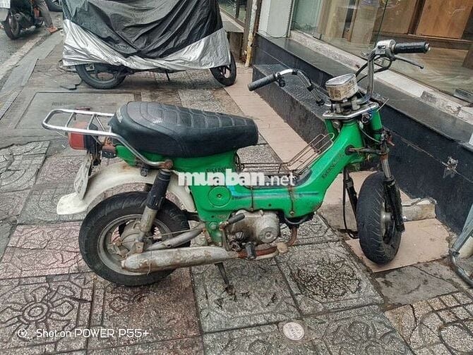 Chaly 50  (kgt)