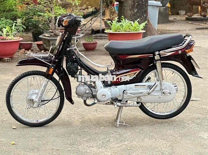 Super dream 9 chủ dọn full mới