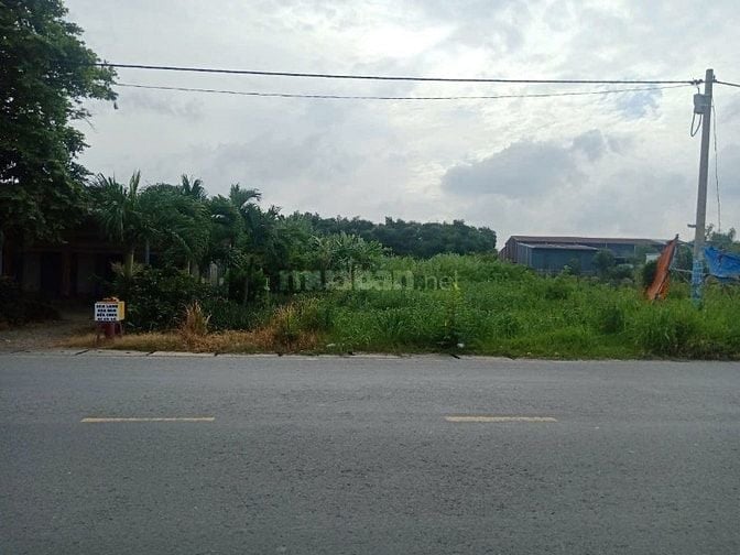Bán đất Long An 500m MT Đường Đức Hoà Thượng