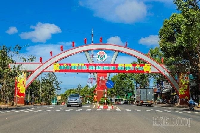 Đất Full Thổ 6x30(180m2) Mặt Tiền Lê Văn Hưu Giáp Tái Định Cư Đăk Nia