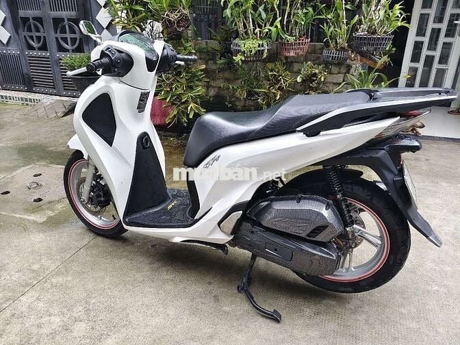 Sh 2108 ABS hàng zin bỏ mẫu