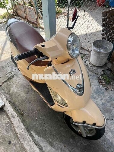 xe Alizabeth Fi 2013