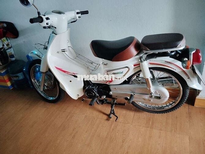 Cúp 50cc