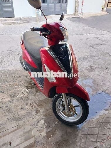 Acruzo fi bstp chứng giấy
