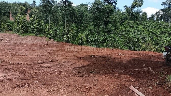 🔥 BÁN ĐẤT MẶT TIỀN QUỐC LỘ 14 – THUẬN AN, ĐẮK MIK – 1639M2 GIÁ CHỈ 1,