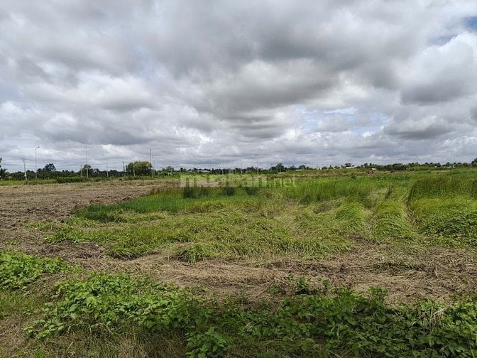 Bán đất 23.000m2 tại cụm công nghiệp Tú Phương , Tân An , tỉnh Long An