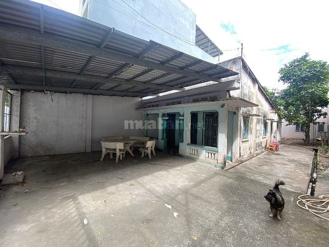 Bán Đất Hóc Môn 327m2 xây biệt thự