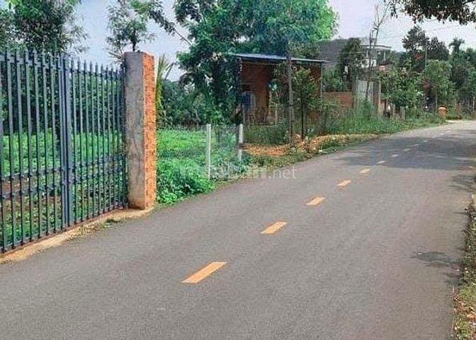 Chính chủ bán vườn 2500m2 có nhà cấp 4 ngay UBND Tân Hiệp - Phú Giáo 