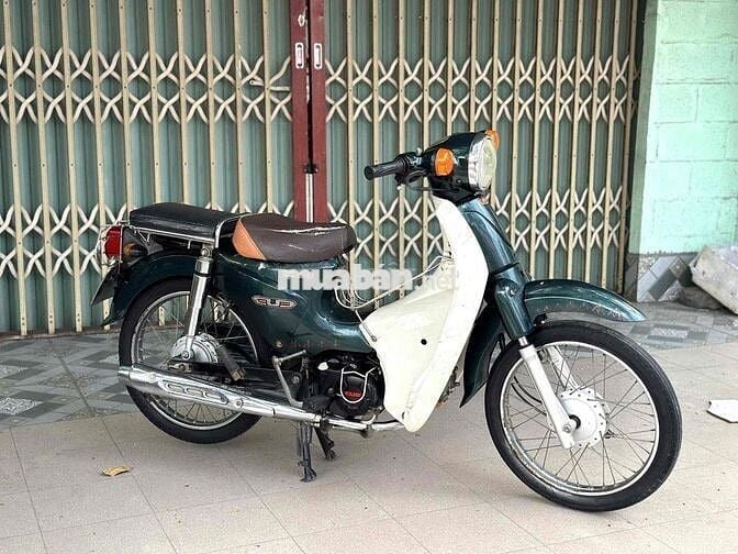 cub 50cc không cần bằng lái