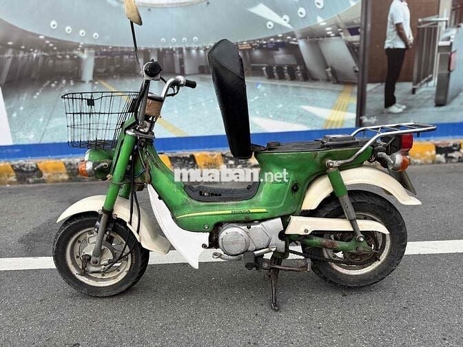 Chaly 81 xanh lá