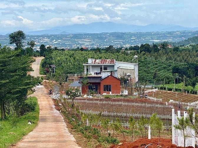 Đất Ven Đà Lạt Giá Chỉ 520 Triệu, SHR, View đồi Thông Mát Mẻ