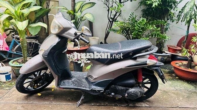 Piaggio Liberty - BSTP - Cavet theo xe đầy đủ