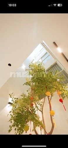 Bán nhà 5 tầng phố Liễu Giai, 80m2, ô tô tránh, phân lô, ở luôn