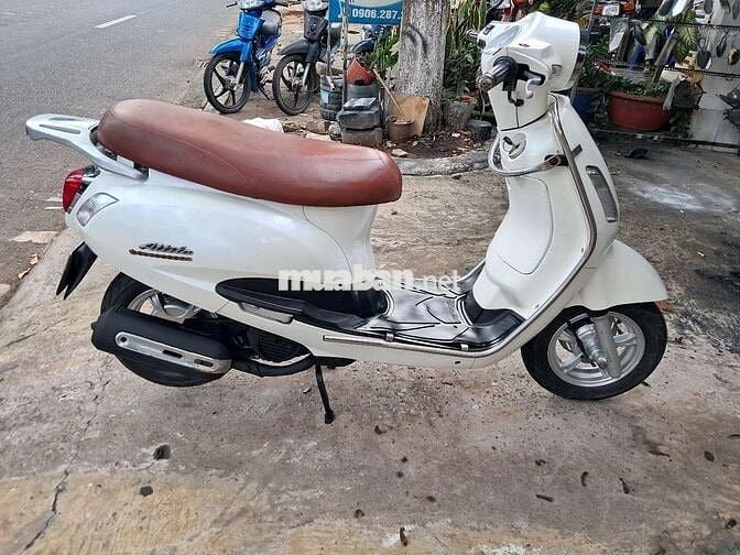 Elizabet trắng..51T8-6576 Giấy đầy đủ