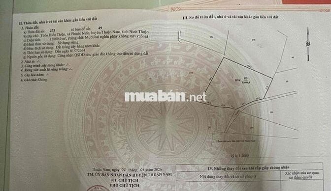 BÁN ĐẤT KHU VỰC ĐIỆN GIÓ – XÃ PHƯỚC NINH, HUYỆN THUẬN NAM, NINH THUẬN