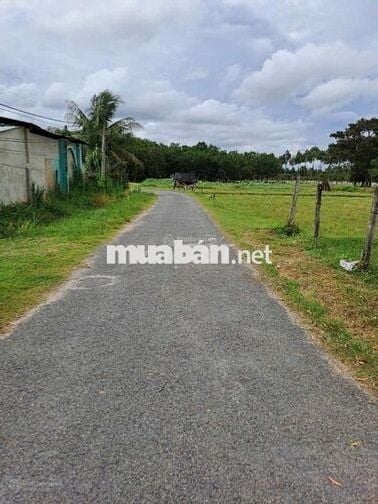 Bán đất 288m2 tại An Tịnh, Trảng Bàng, Tây Ninh, sổ riêng, 520 triệu