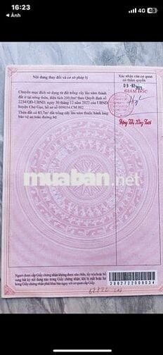 Đất sổ hồng riêng 495 m2 (trong đó có 200 m2 thổ cư).