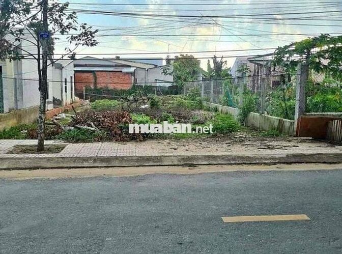 HÀNG NGỘP PHƯỚC HIỆP CỦ CHI 160M2( 8x20) Full thổ cư giá 385 Triệu