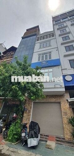 Cho Thuê Nhà Nguyên Căn Mặt Phố