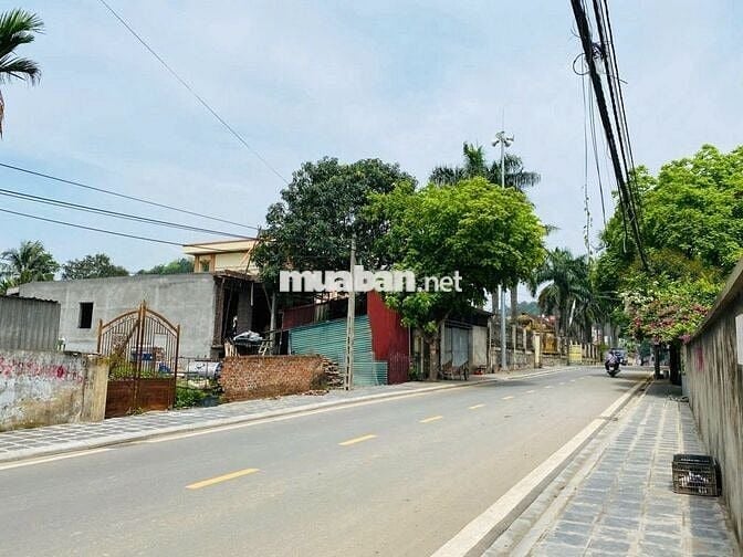 Bán đất Quang Tiến - 100m2 - Đường 8m - Vuông đẹp - Đầu tư sinh lời