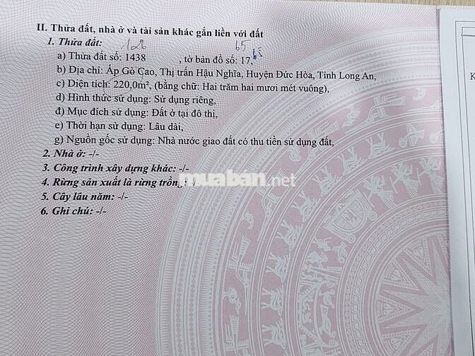 Đất thổ cư ở đô thị - thị trấn Hậu Nghĩa - Đức Hòa Long An