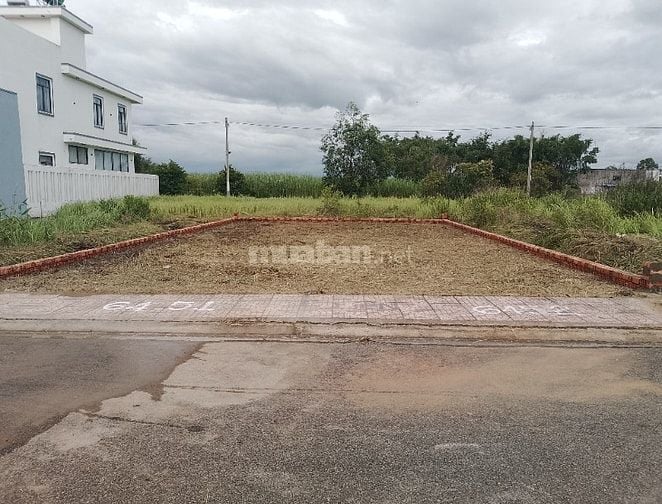 Nhận đo đạc, phát cỏ, xây ranh, cắm mốc đất vườn, đất nền Long An