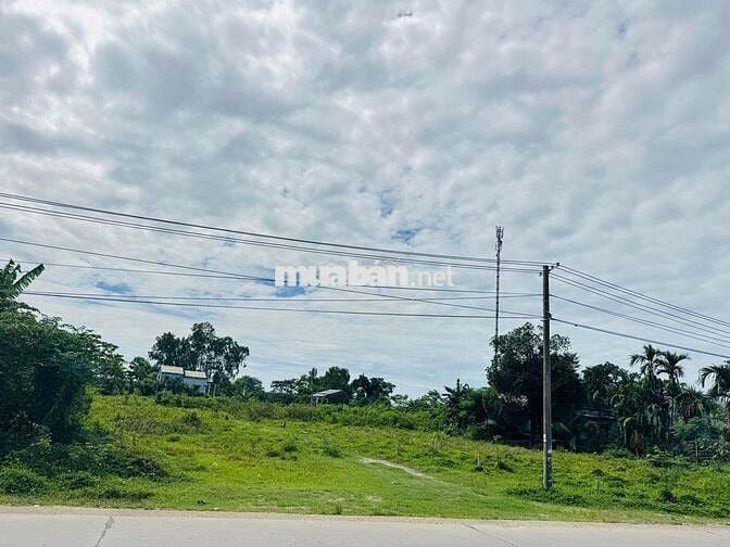 Bán đất mặt tiền giá siêu đầu tư