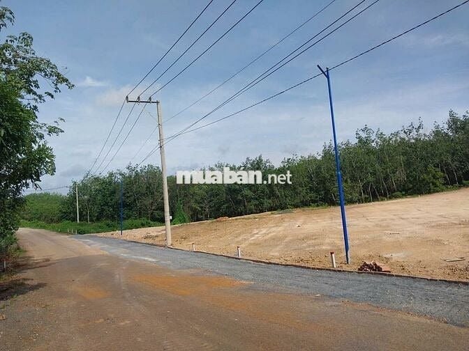 chính chủ kẹt tiền bán gấp 513m2 đất mặt tiền nhựa 18m giá chỉ 150tr