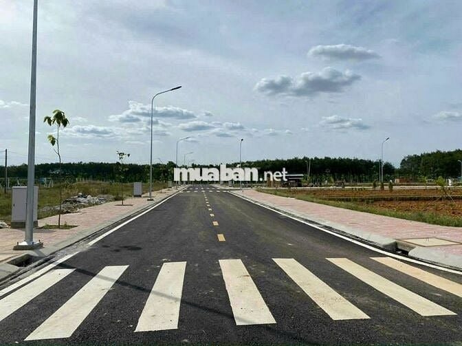 ĐẤT NGỘP, CẦN BÁN GẤP, NGAY CHỢ TÂN PHƯỚC, TRỤC ĐƯỜNG DT753, Chỉ 300TR